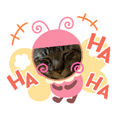 猫のきゃべつ君のほんわかスタンプ