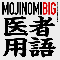 医者用語 BIG（文字のみ4）