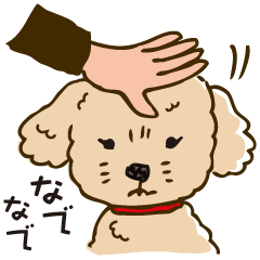 ピポンのトイプーの花子