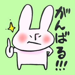 うさぎ、がんばります！