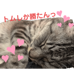 トムしか勝たんスタンプ