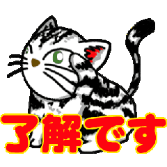 騒いで伝える猫コミュニケーション