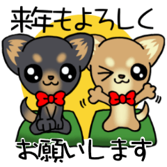 スム〜スちわわのお正月っ！