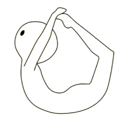 Super-vernacular human