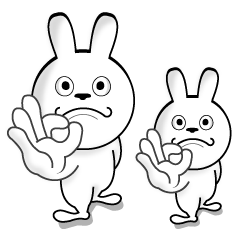 白いウサギがやって来る！