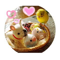 癒しの小鳥さんたち