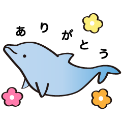 日常編 「LIAイルカ」