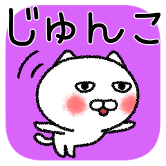 じゅんこちゃんねこ