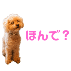 モコちゃんとトマトちゃん