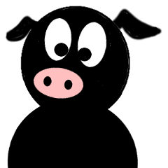 Black Pig "Boofy"
