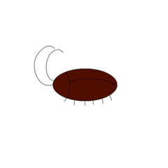 ゴキ・ブリオ①