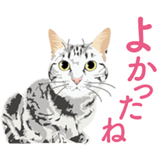 笑顔をくれる猫たちの一言