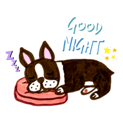 PT The Boston Terrier (full)