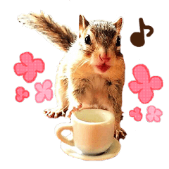 シマリスのスピカ