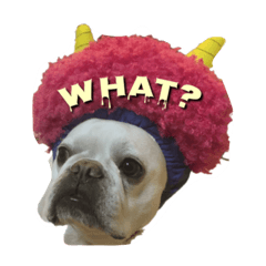 フレブル☆福たんですけど？ver2