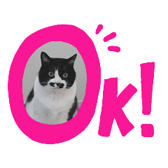 梅さんといっしょ