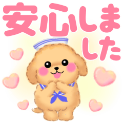 夏のかわいいトイプードル❤️でか文字