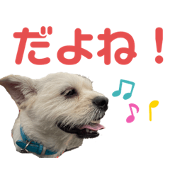 あいづち上手！使いやすい！ペキチワぶんた