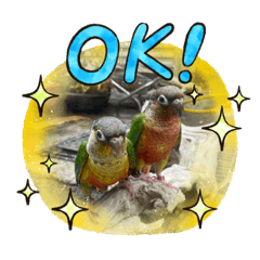 Summer_20210701150932