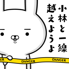 小林さんの為の容疑者ウサギ