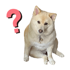 リカちゃんといっしょ