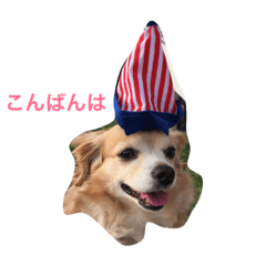 話すよ^_−☆るんちゃん