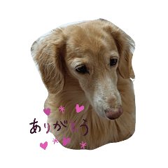 可愛いみゅうみゅう