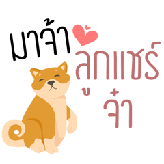 a dog share