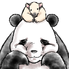 かわいいやつら～パンダとコアリクイ～