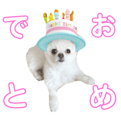 ニコさんのスタンプ！