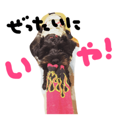 ちびとちゃちゃ2