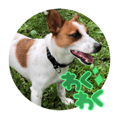 フィルとギターキャンピングカー