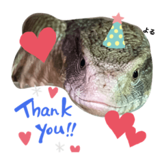 サバンナモニター"よる"&"うる"