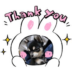 happinessスタンプ✌️