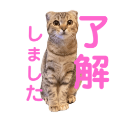 ちくわな日々③