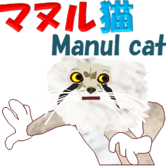 マヌル猫 40