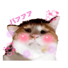 琥太朗さまと小鈴様のスタンプ・まとめ