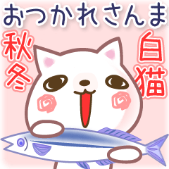 秋から冬へ◆白猫