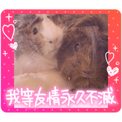 すふれもちっ！