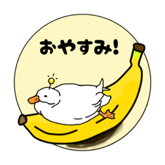 コールダックと一緒♪