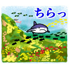 可愛い魚に毎日会える