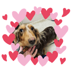 ラブリーな柊君