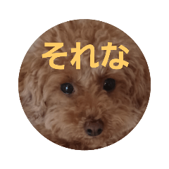 トイプーこころのスタンプ