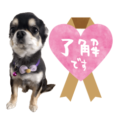 かわいい！cocoちゃんスタンプ【修正版】