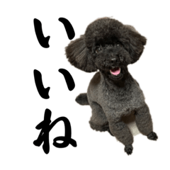 ごえもんワンコ　秋♡よく使うスタンプだよ