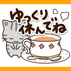 穏やかな☆おちゃめなアメショ