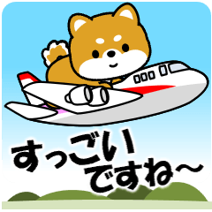 飛び出す！豆柴「乗り物」