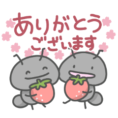 アリさんの日々色々（春）