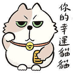 My boyfriend's fat cats.