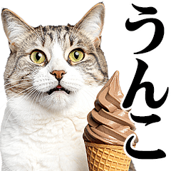 うんこ★リアルな猫 (デカ文字)